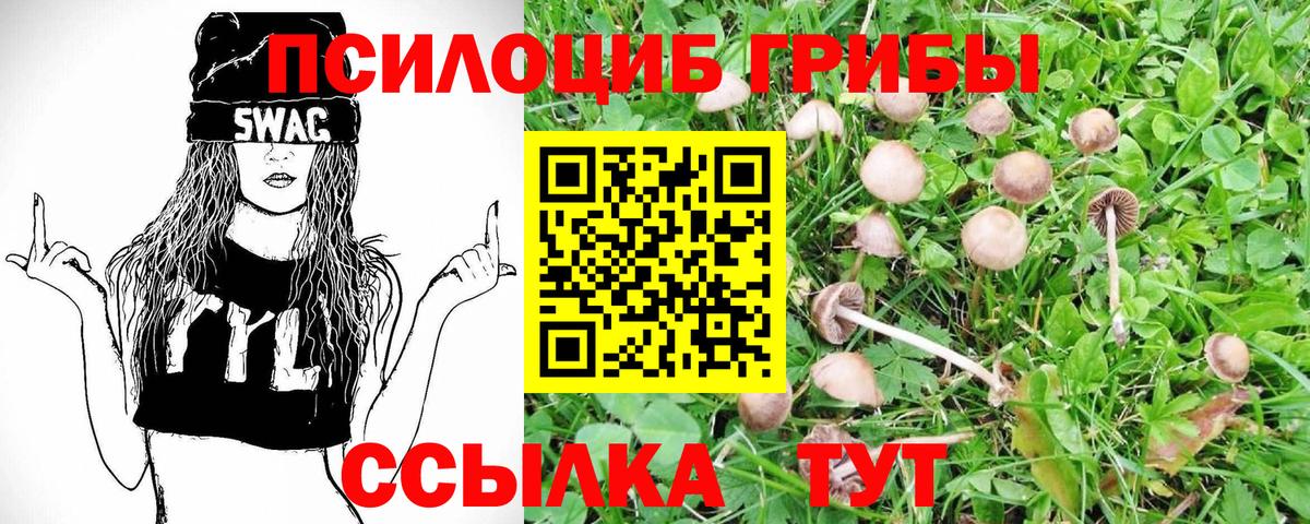 Галлюциногенные грибы Cubensis Кумертау