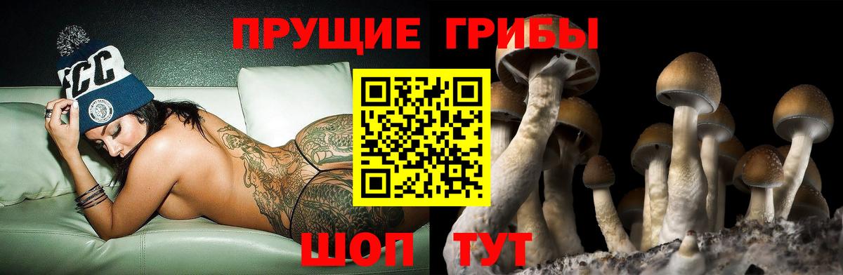 где купить   Псилоцибиновые грибы ЛСД  Вход с VPN  Псилоцибиновые грибы мухоморы  Кумертау 